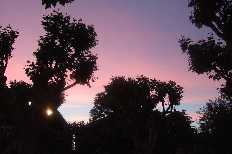 2011-05- (1795).JPG